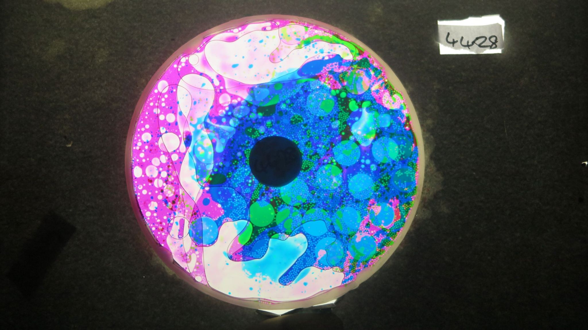 BV4428 bubble vision oil wheel